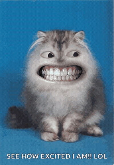 Big Smile Cat See How Excited I Am Lol GIF