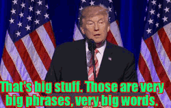 Big Stuff Donald Trump GIF