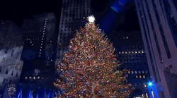 Big Tall Xmas Tree GIF