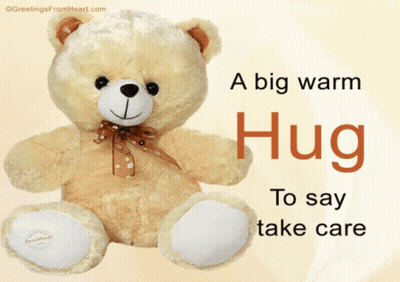 Big Warm Hug Teddy Bear Take Care GIF