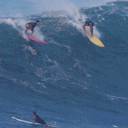 Big Wave Surfing Down  GIF