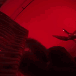 Bigfoot Crazy Partying GIF