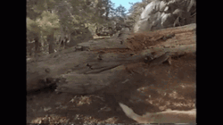 Bigfoot Epic Fail GIF