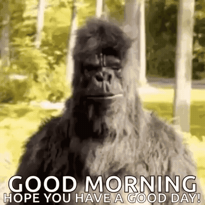 Bigfoot In Furry Costume Saying Good Morning GIF