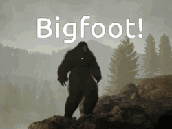 Bigfoot Looking Around GIF