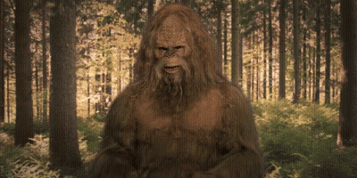 Bigfoot Standing In Forest GIF