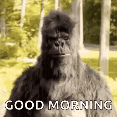 Bigfoot Standing In Woods Saying Good Morning GIF