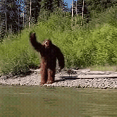 Bigfoot Waving In Water GIF