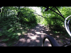 Bike Cam Forest Trip