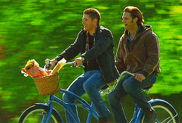 Biking Duo Enjoys Outdoor Ride GIF