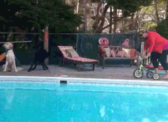 Biking Grandma Fall Into Pool GIF