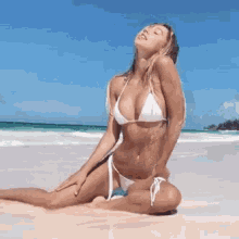 Bikini Model Beach Pose Alexis Ren