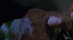 Bill And Ted GIF