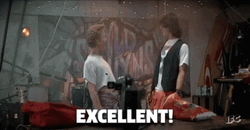 Bill And Ted Excellent Reaction Meme GIF