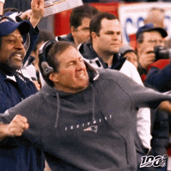 Bill Belichick Celebrate And Shout GIF