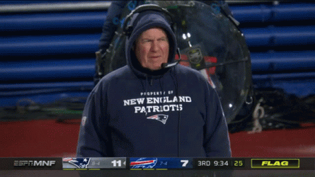 Bill Belichick Speechless GIF