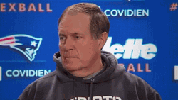 Bill Belichick Were On To Cincinnati GIF