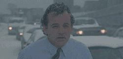 Bill Murray Asking What Blizzard Groundhog Day GIF