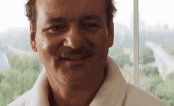 Bill Murray Big Grin GIF