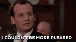 Bill Murray Couldn't Be More Pleased GIF