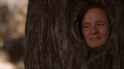 Bill Murray Get Smart Film Clip GIF
