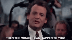 Bill Murray Miracle Can Happen GIF