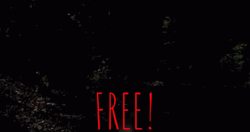 Bill Murray What About Bob Free GIF