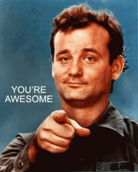 Bill Murray You're Awesome Wink GIF