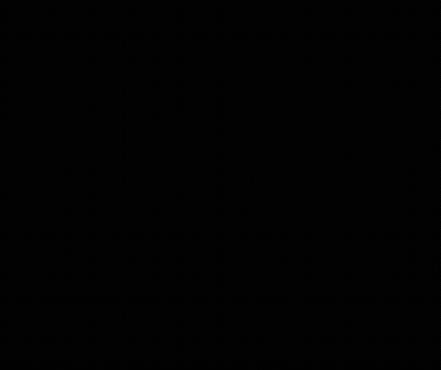 Bill Of Rights Copy Displayed GIF