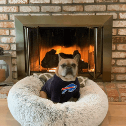 Bills Mafia Buffalo Bills Meme GIF