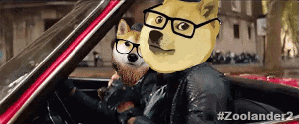 Billym2k Dogecoin GIF