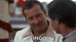 Bingo Clark Griswold Christmas Lights GIF