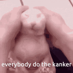 Bingus Sphynx Cat Everybody Do The Tanker GIF