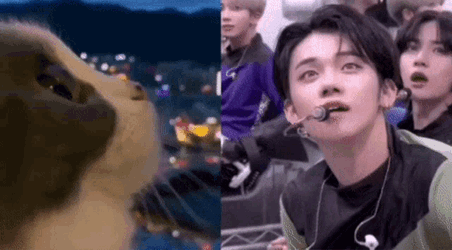 Binsoob Nyangjun GIF