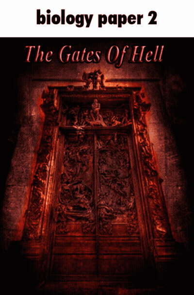 Biology Paper 2 The Gates Of Hell Burning Doorway GIF