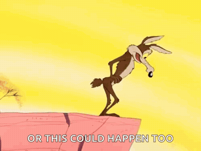 Bird And Coyote Cartoon Saying Or This Could Happen Too GIF