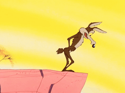 Bird And Coyote Running GIF