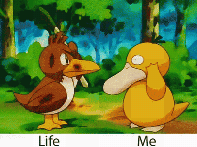 Bird And Duck Life And Me GIF