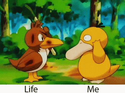 Bird And Duck Standing Together Saying Life Me GIF