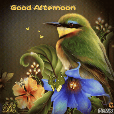 Bird And Flowers Good Afternoon GIF
