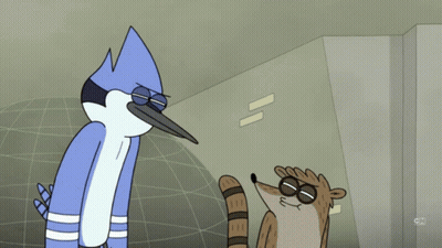 Bird And Raccoon Cartoon With CN GIF
