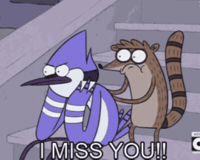 Bird And Raccoon Saying I Miss You GIF