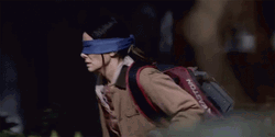 Bird Box GIF
