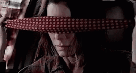 Bird Box Blind Fold In The Car GIF