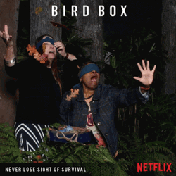Bird Box Blind Fold Possing GIF