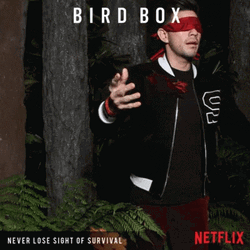 Bird Box Chris Evans Blind Fold GIF
