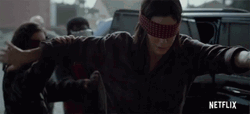 Bird Box Please Dont Hurt Yourself GIF