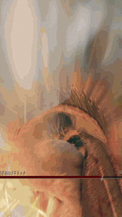 Bird Drawing With Chinese Writing GIF