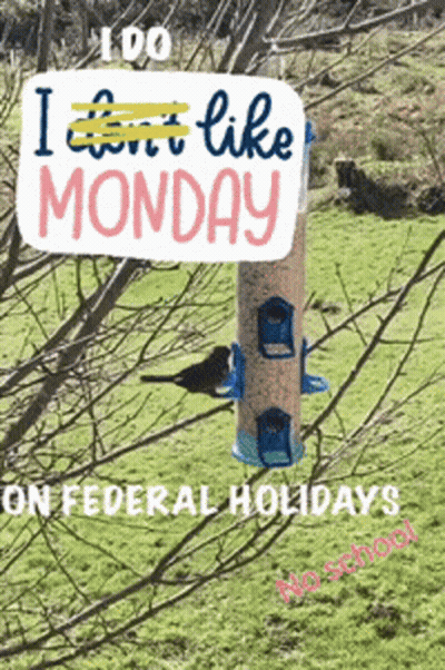 Bird Feeder With Sign Saying I Can't Like Monday On Federal Holidays GIF