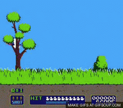 Bird Flying Hit And Shot GIF